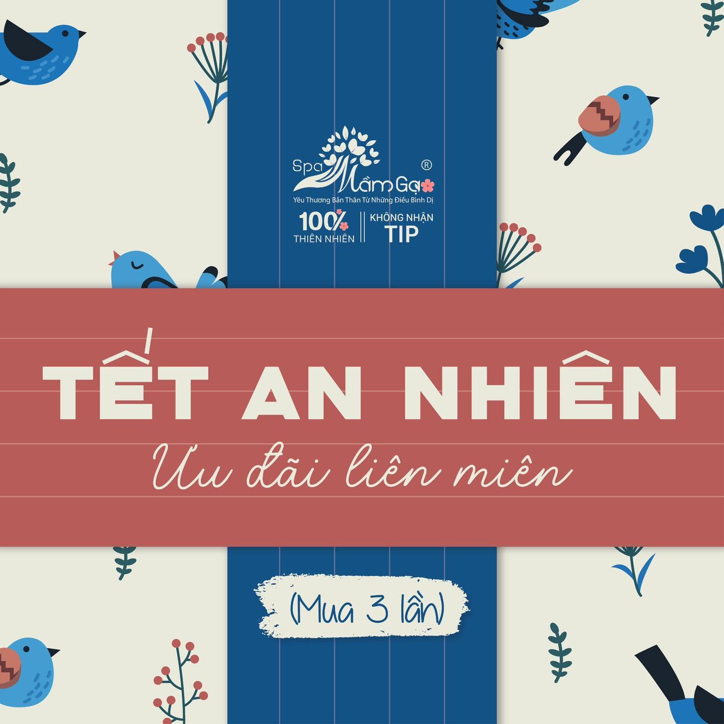 Tết An Nhiên - Ưu Đãi Liên Miên